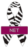Zebraschleife Netzwerk NeT Zebraschleife Netzwerk NeT